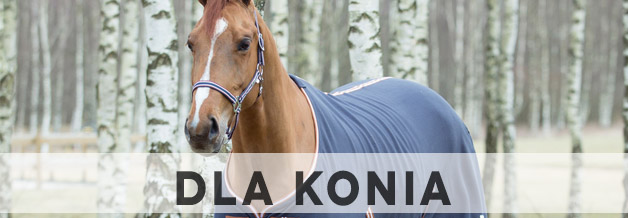 Artykuły dla konia